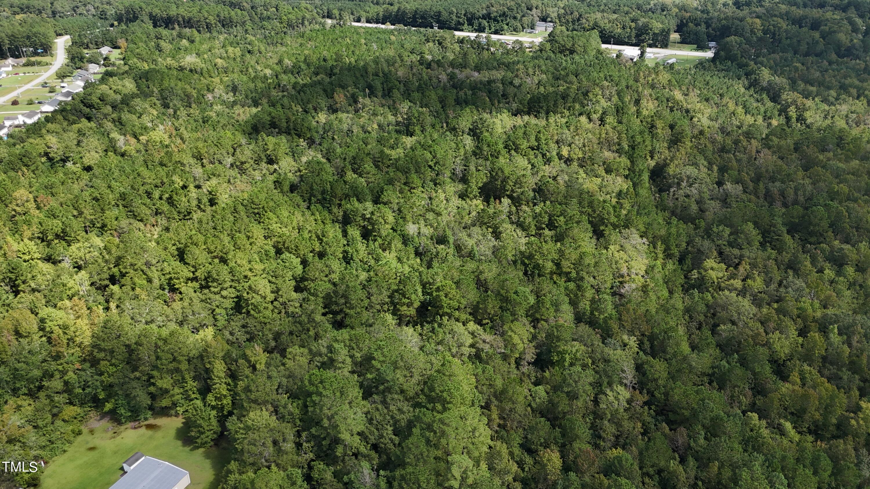 a view of a forest with a houses