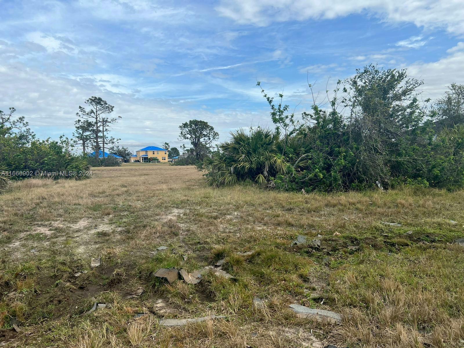 a view of a field with an trees