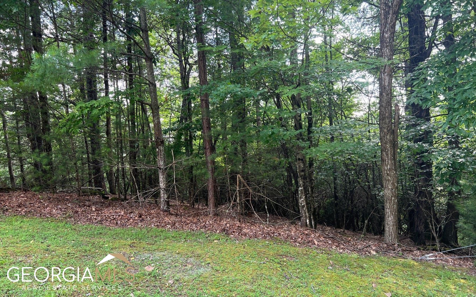 a view of backyard with green space