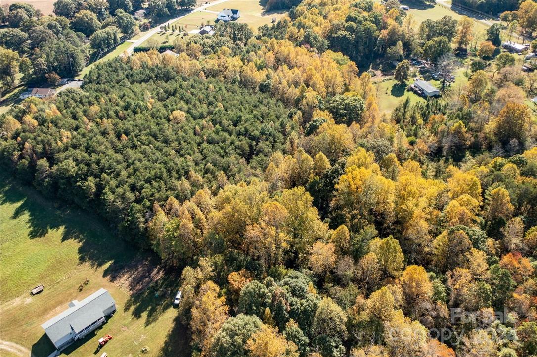 a view of a bunch of trees and houses