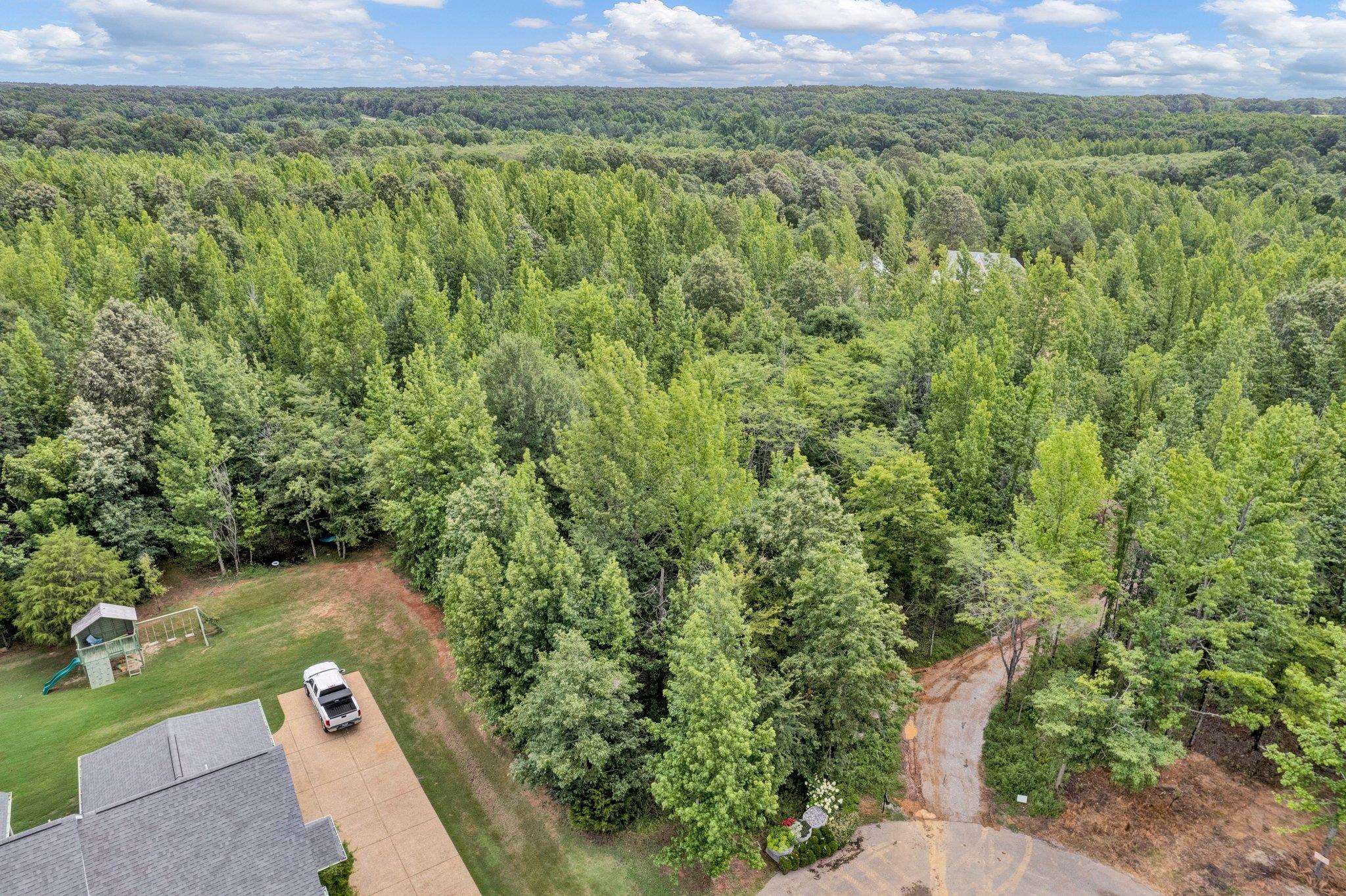 an aerial view of a yard with a mountain