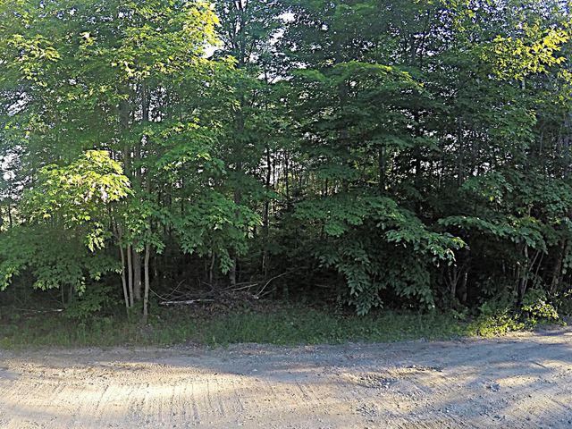 $55,900 | Lot 21 Bradford Station Road | Alton