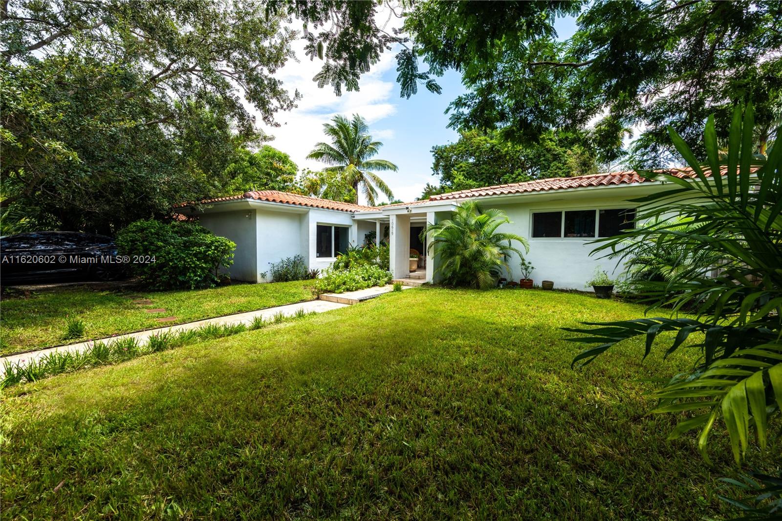 a view of a house with a yard potted plants and large tree