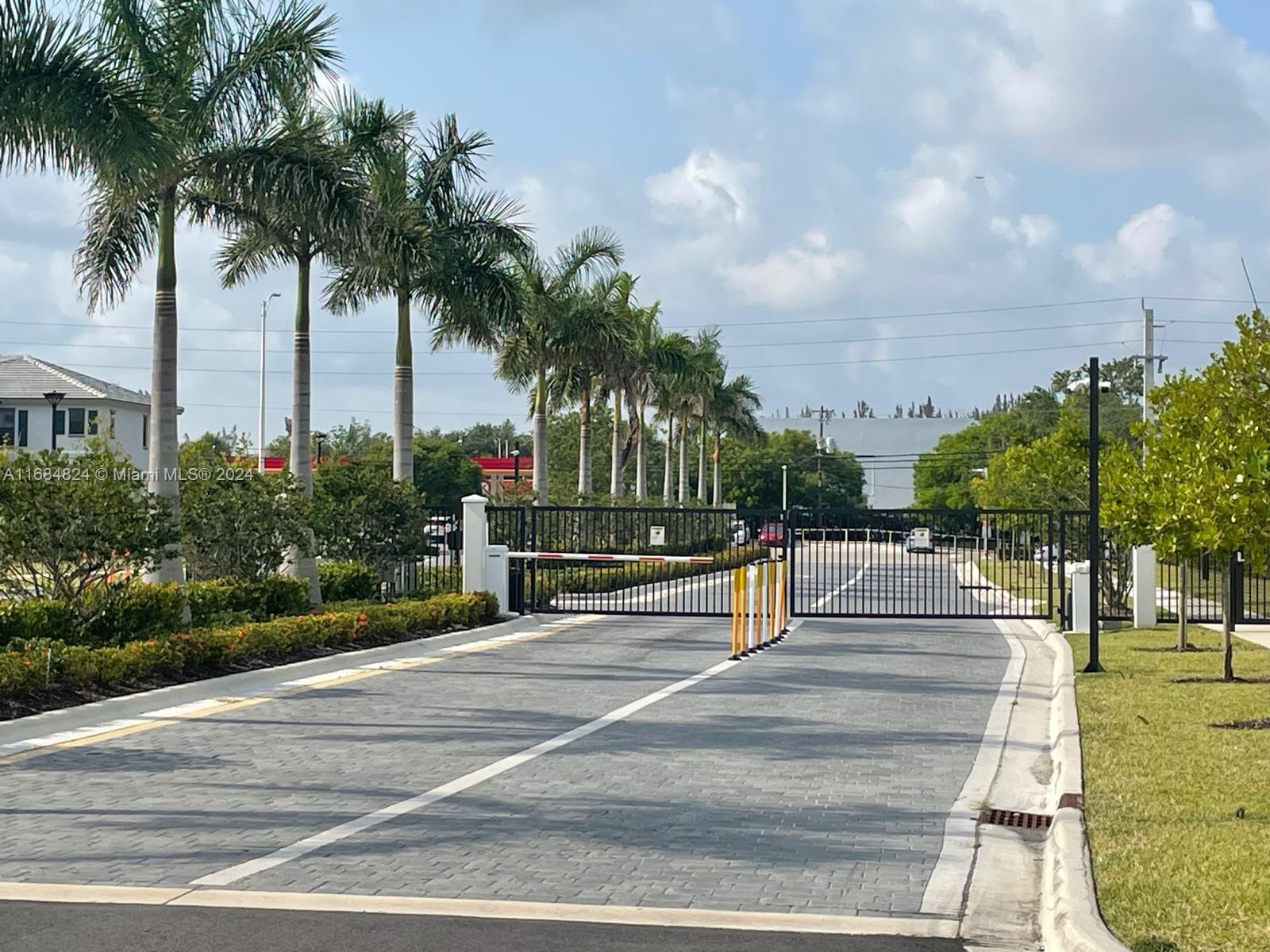 a view of outdoor space with palm trees