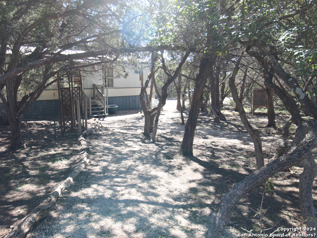 a view of a yard with trees