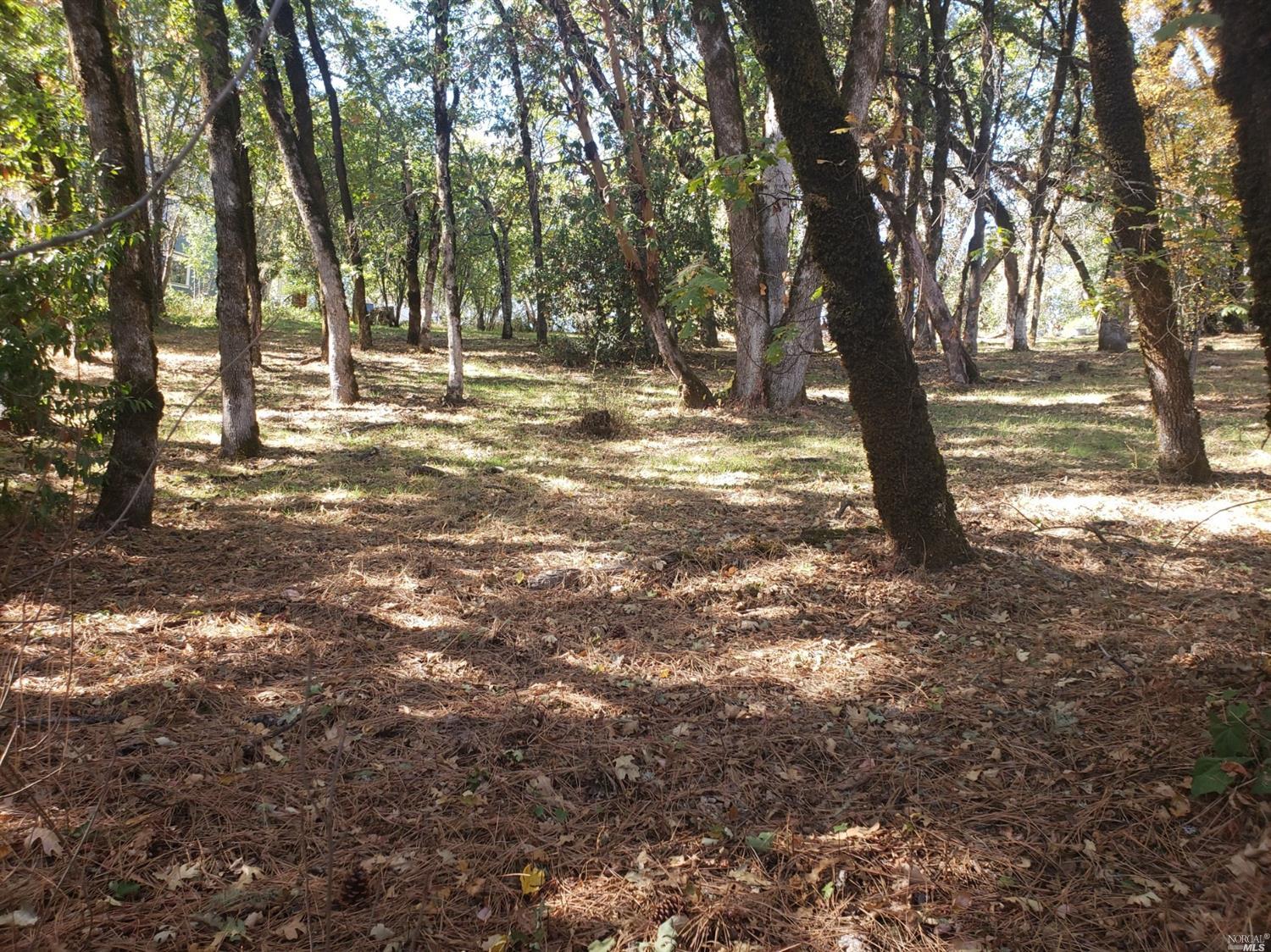 a view of outdoor space with trees