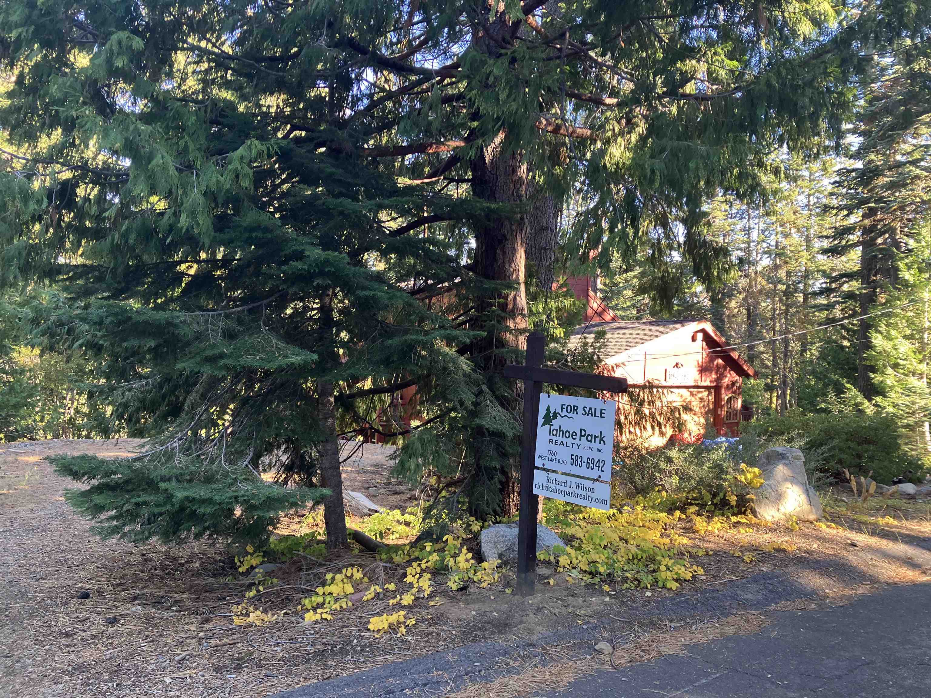 a view of a tree in front of a house