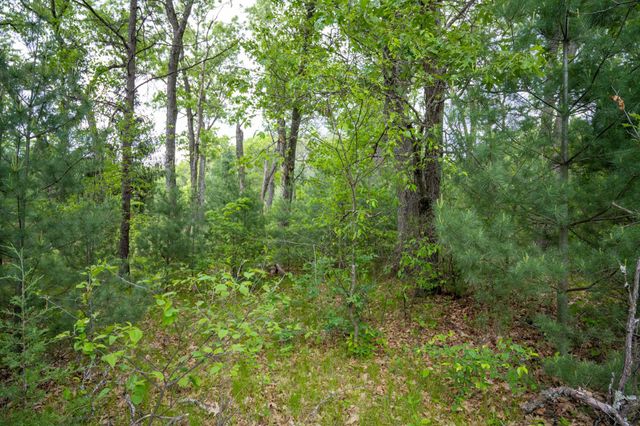 $28,900 | Lot 36 Fawn Grand Marsh Wi 53936 | Springville