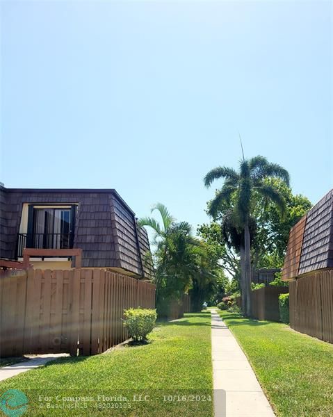 a view of a backyard with plants