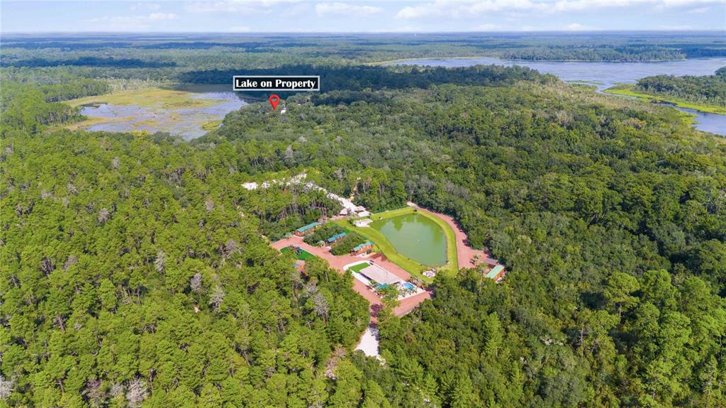 a aerial view of a house with a yard and lake view