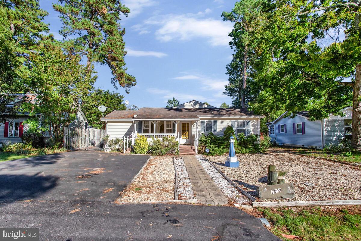 a front view of a house with a yard and tree s