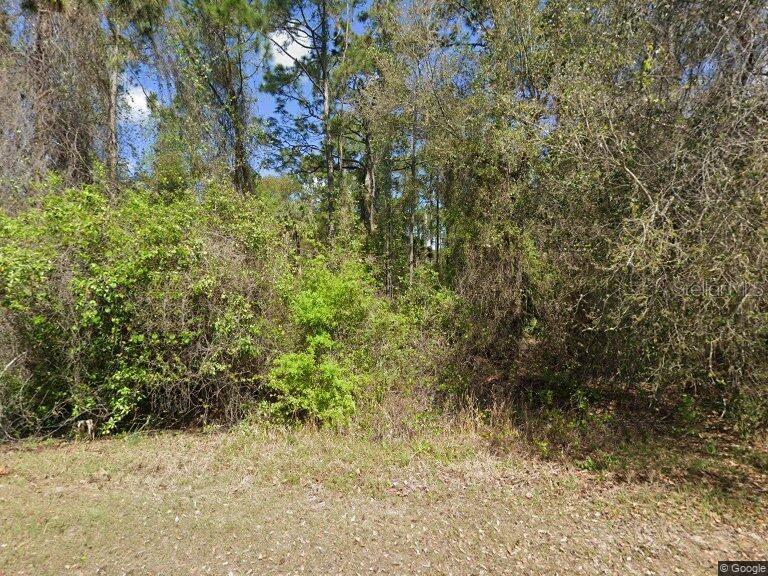 a view of a yard with trees