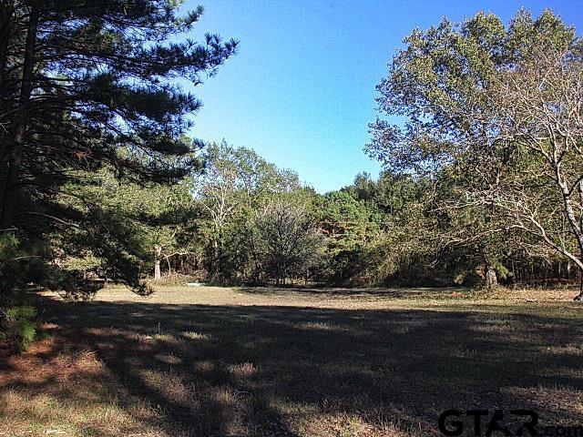 a view of outdoor space and yard