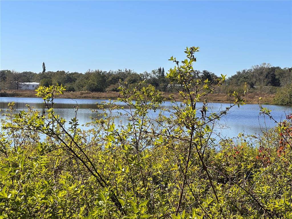 a view of lake with green space