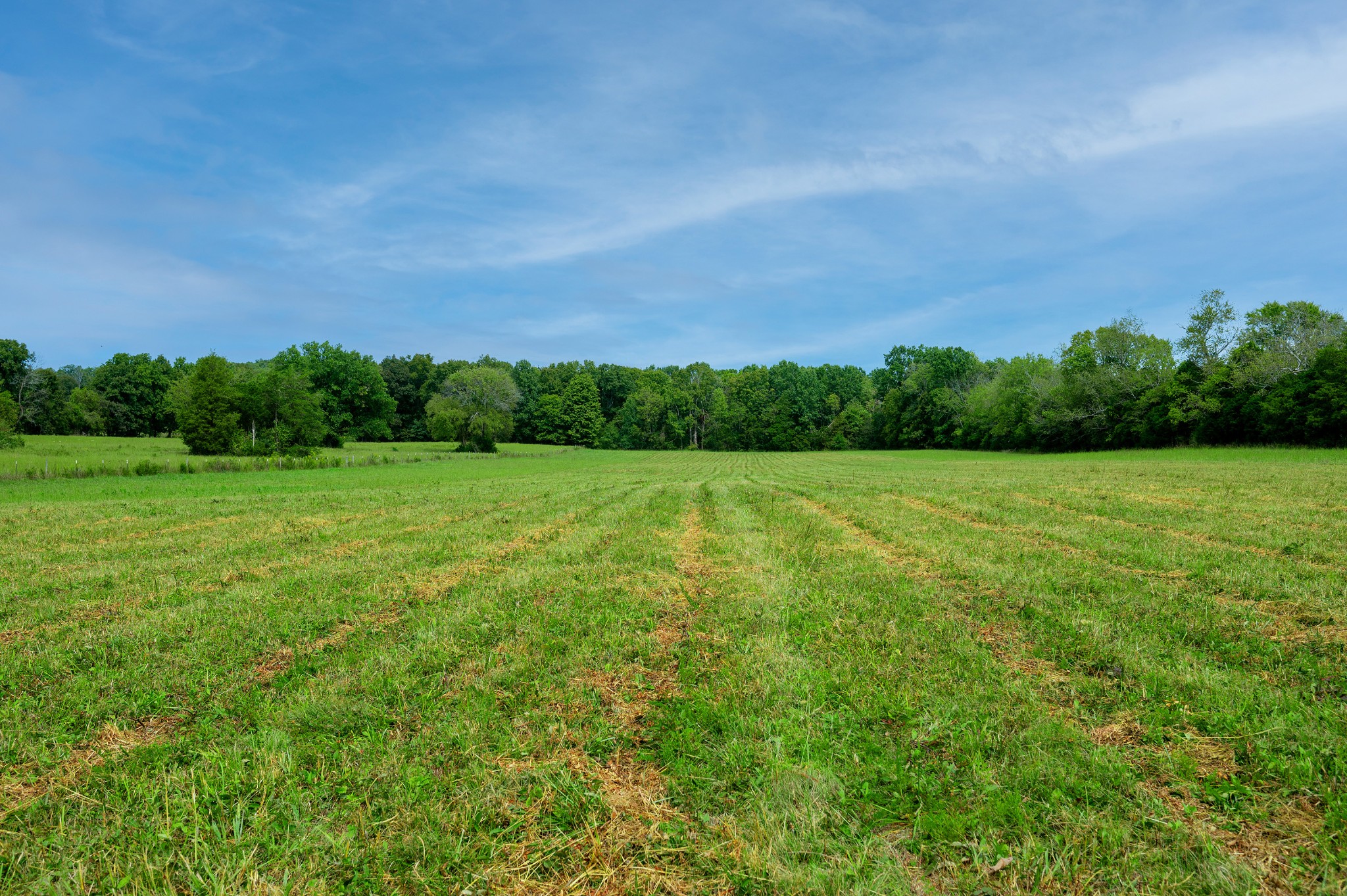 a view of a green field with clear sky