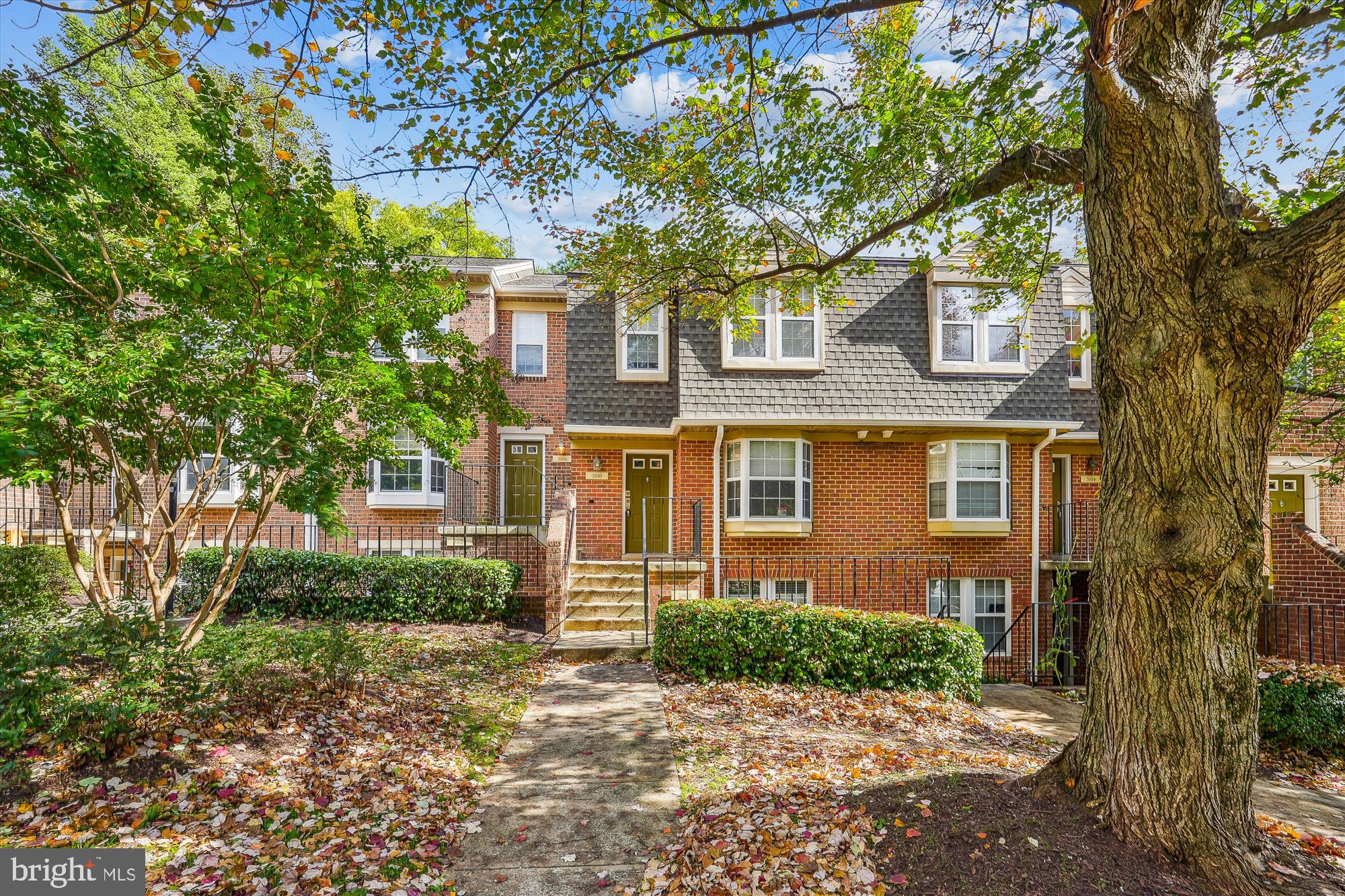 front view of a house with a tree