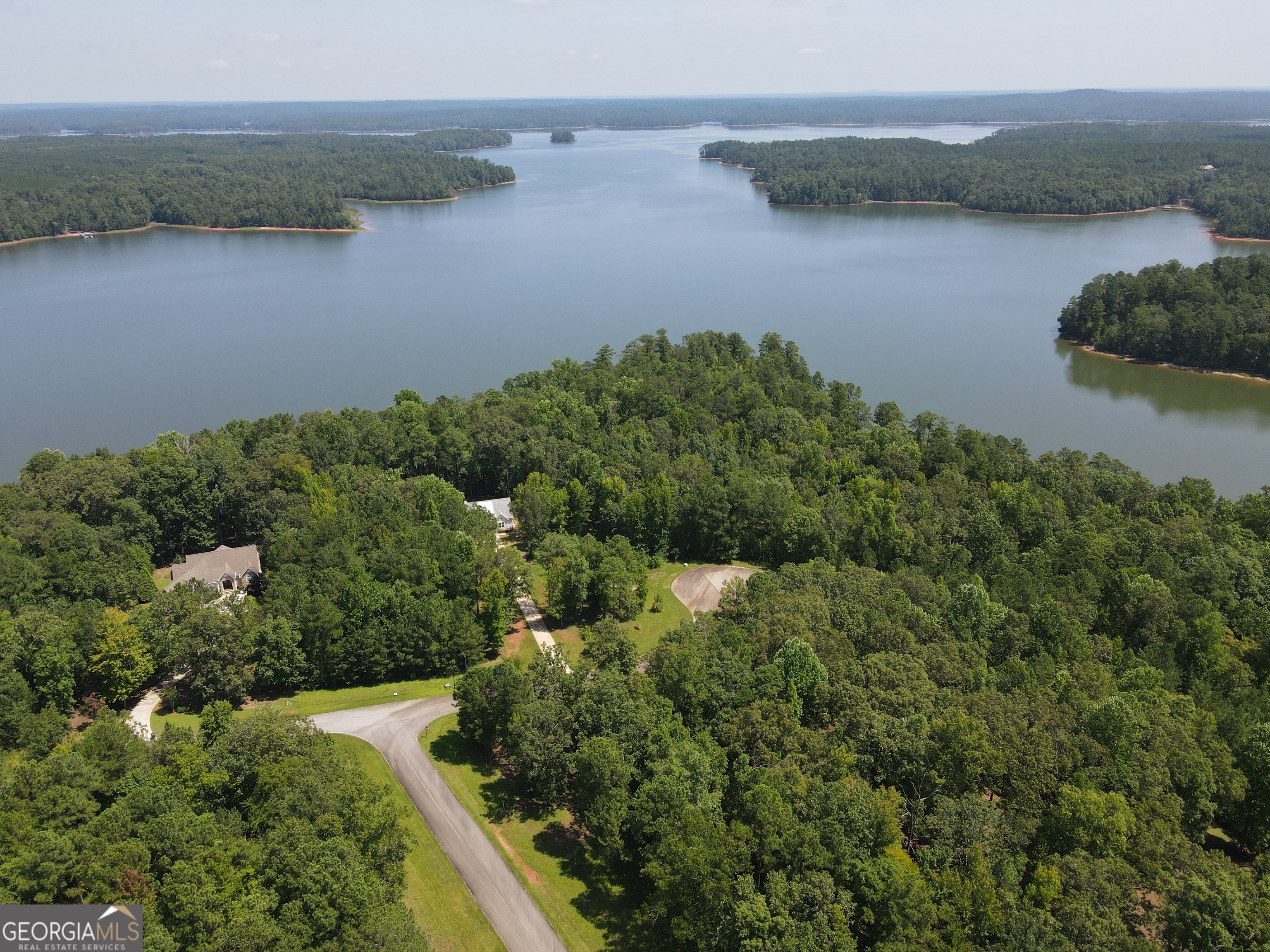 an aerial view of green landscape with trees houses and lake view