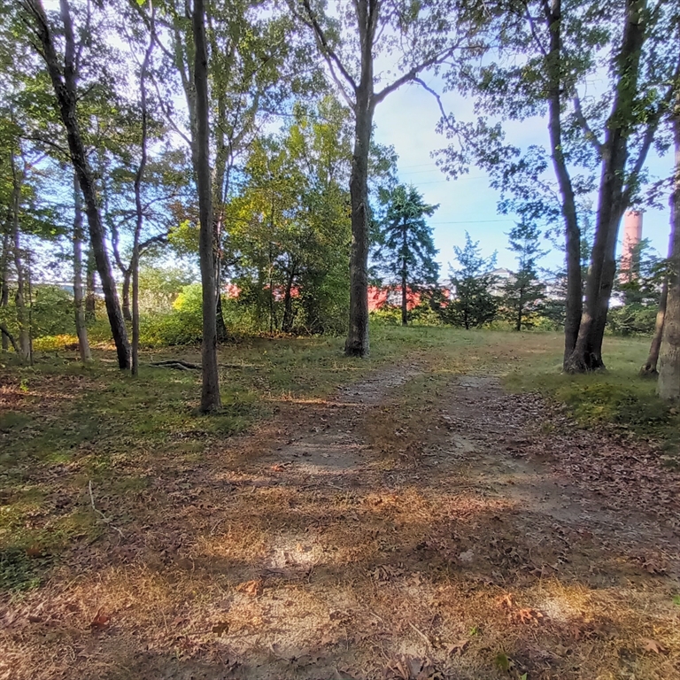 a view of outdoor space with trees