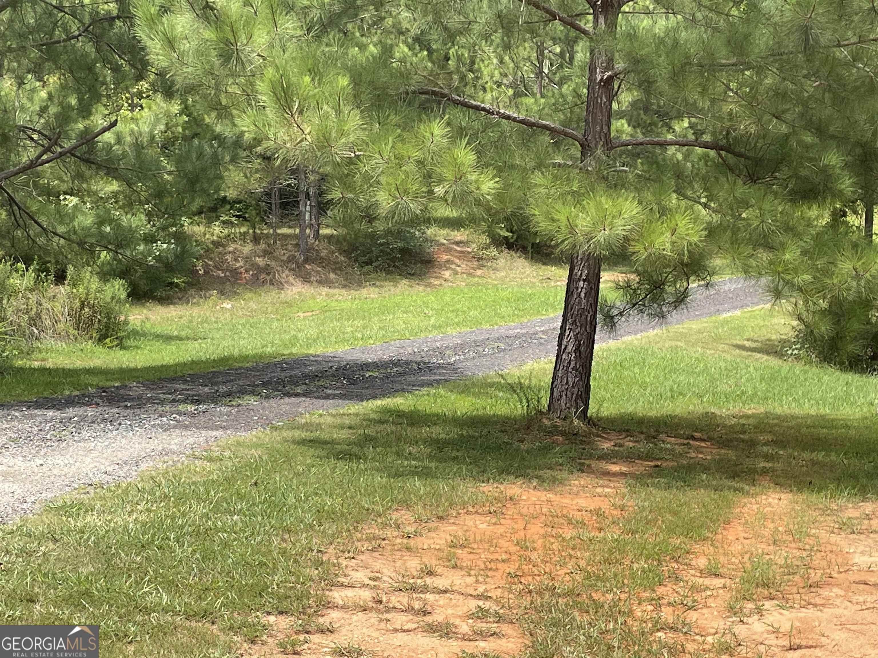 a view of a yard with a tree