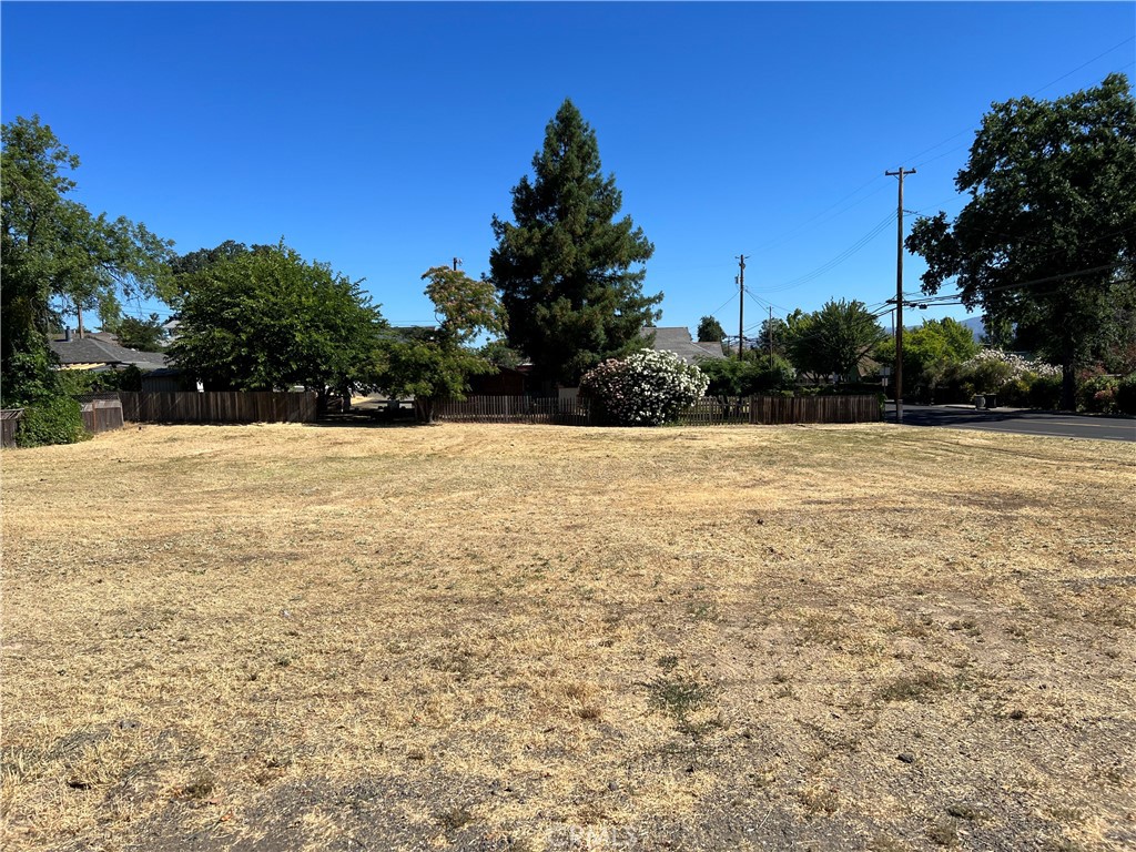 a view of white trees with a yard