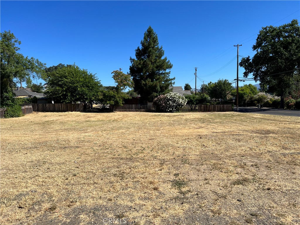 a view of white trees with a yard