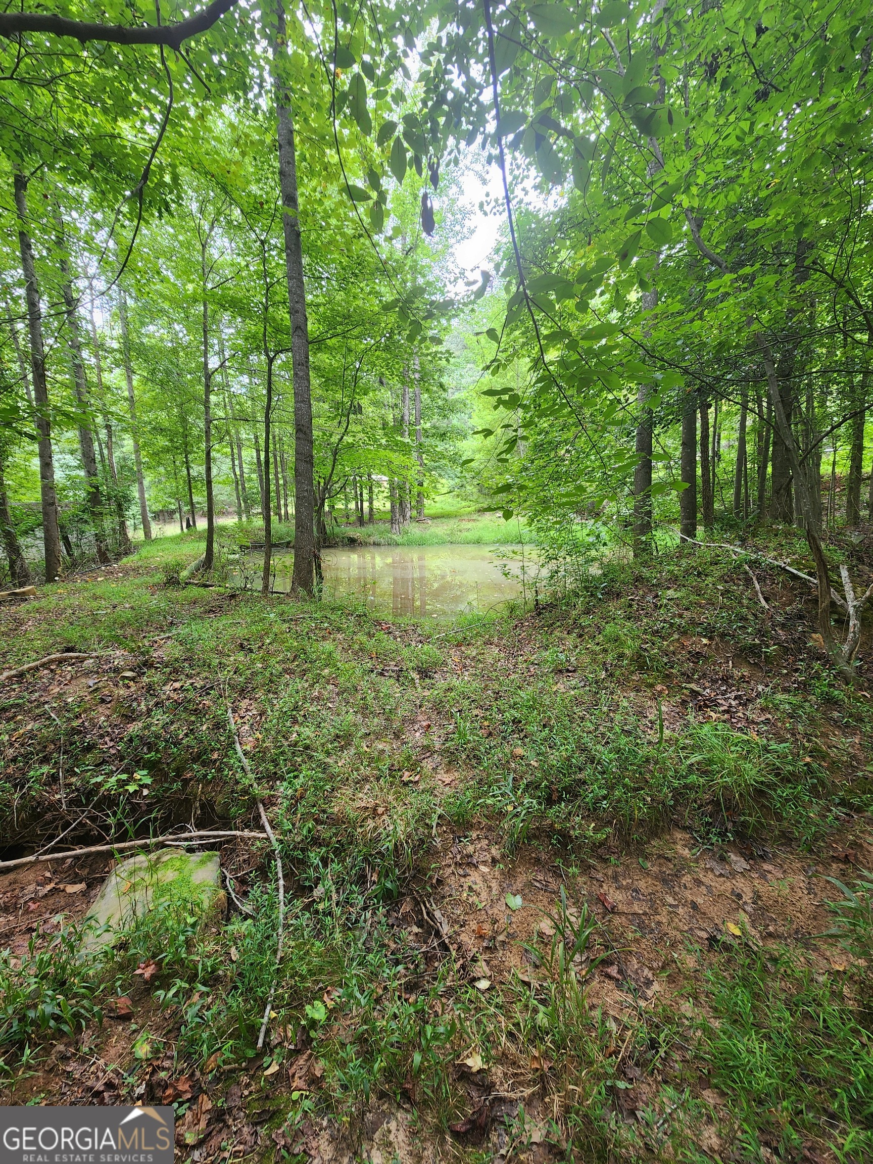 a big yard with lots of green space and deers