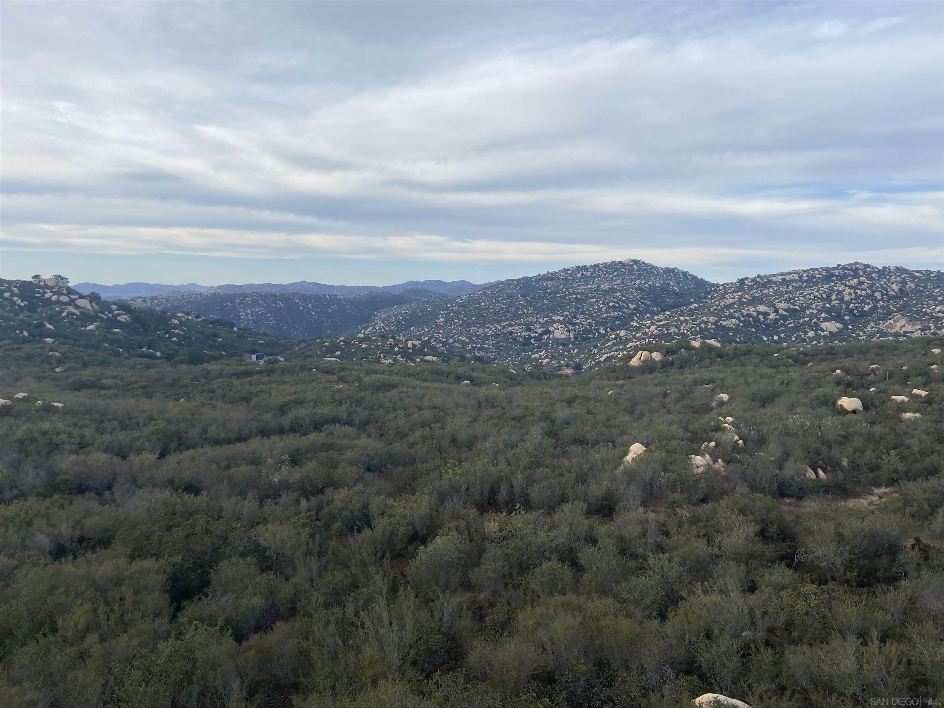 an aerial view of houses covered in trees