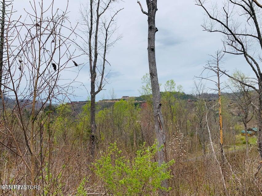 loop rd gatlinburg photo 1