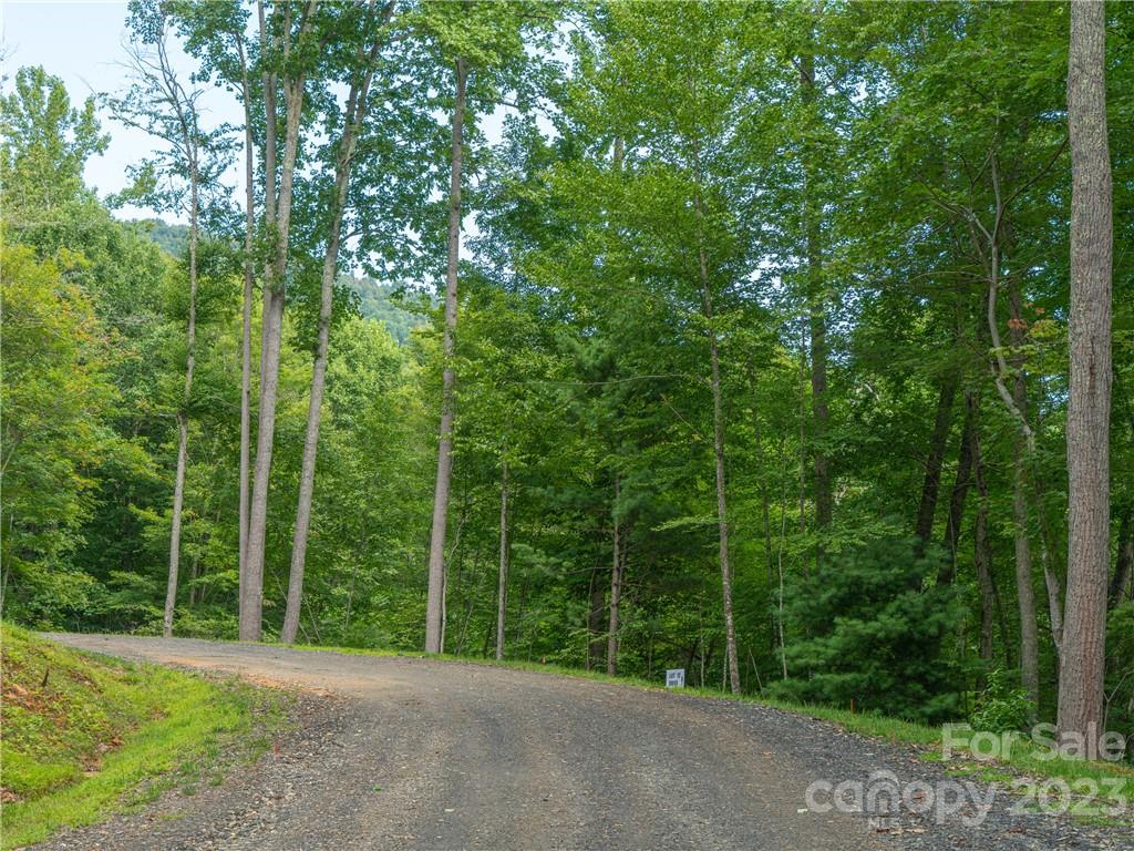 a view of a field with trees in the background