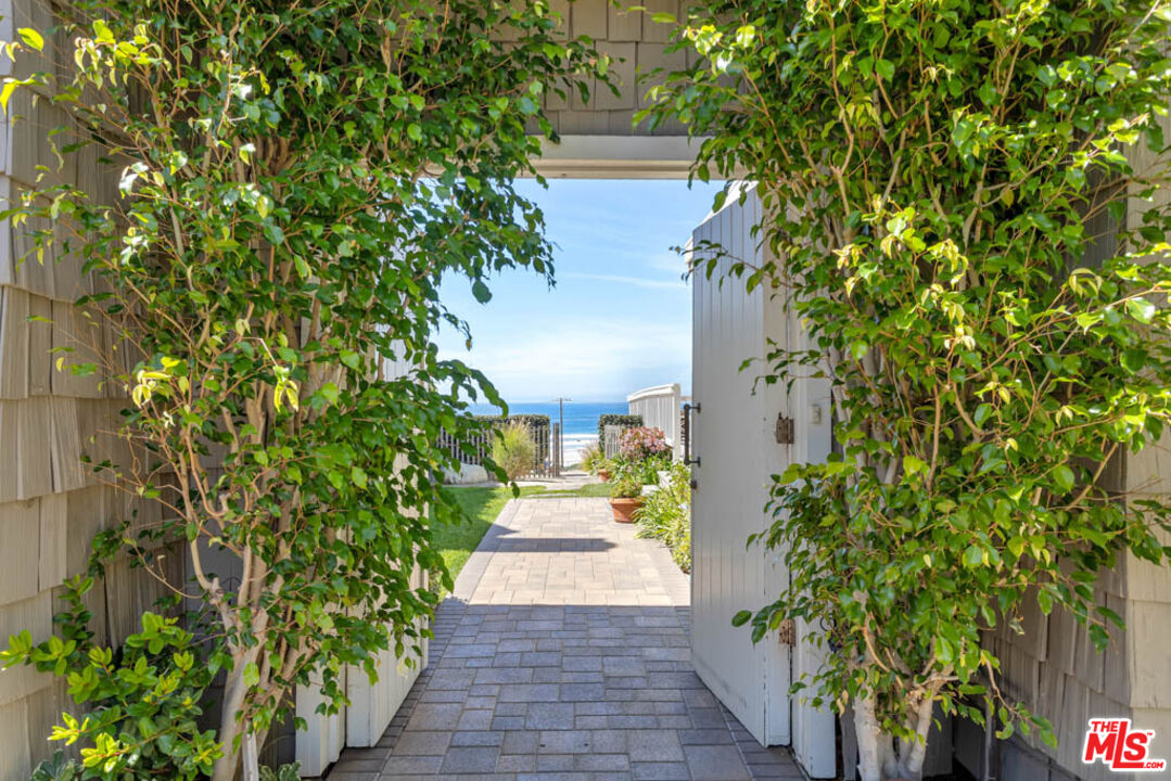 a view of a pathway with plants