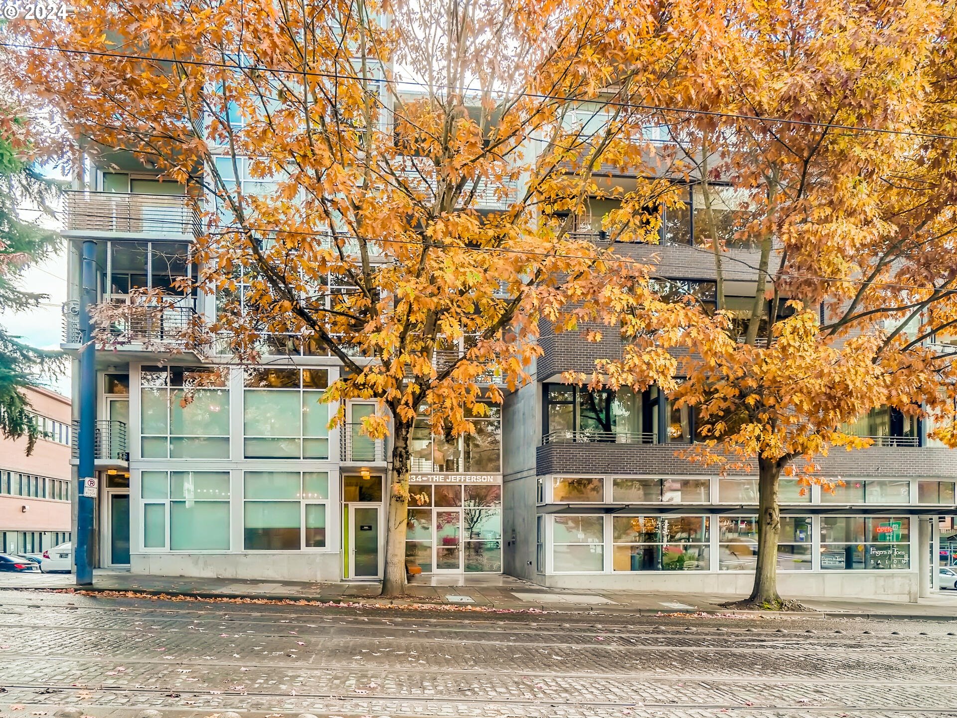 front view of a building and a tree