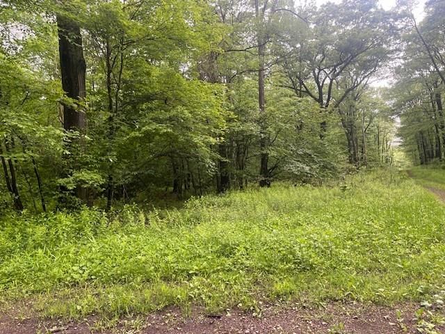 $30,000 | Lot 180-and 181 Laurel Summit Road | Jenner Township - Somerset County