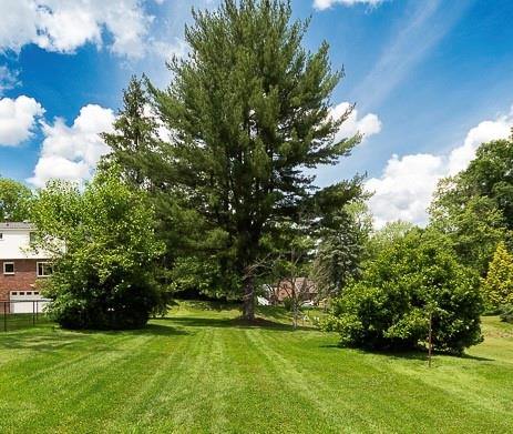 a view of a trees with a yard