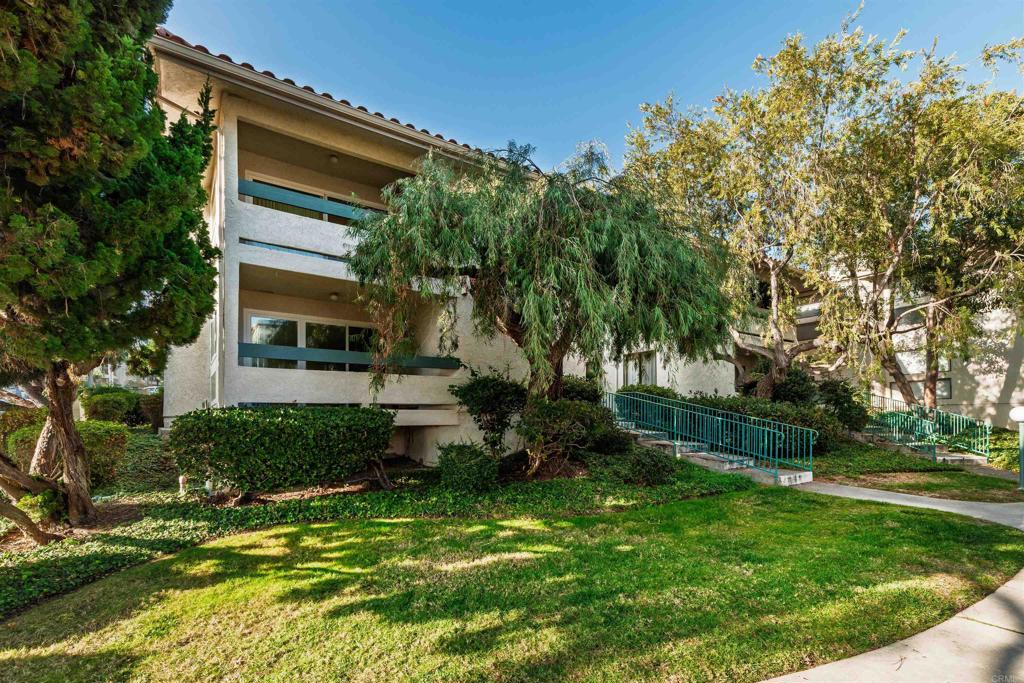 a view of a backyard with plants and a large tree