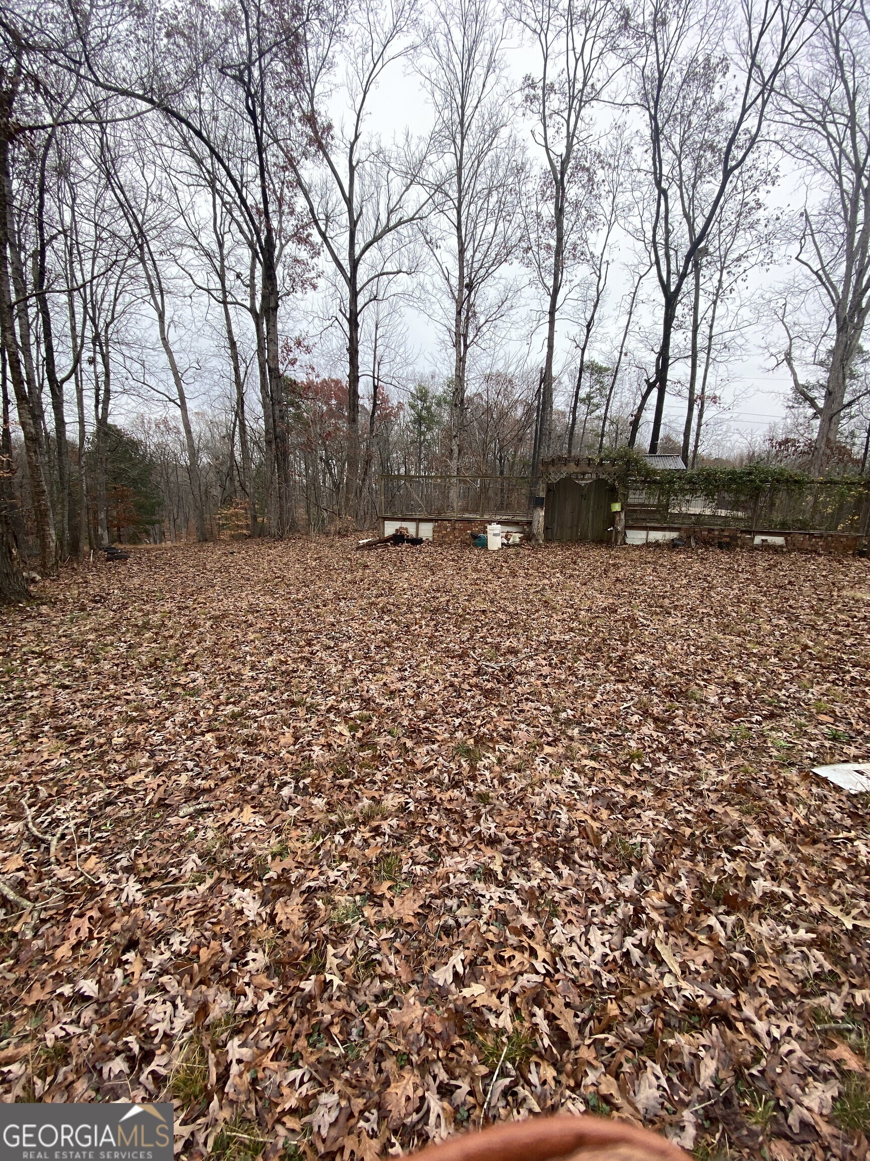 a view of dirt field with trees