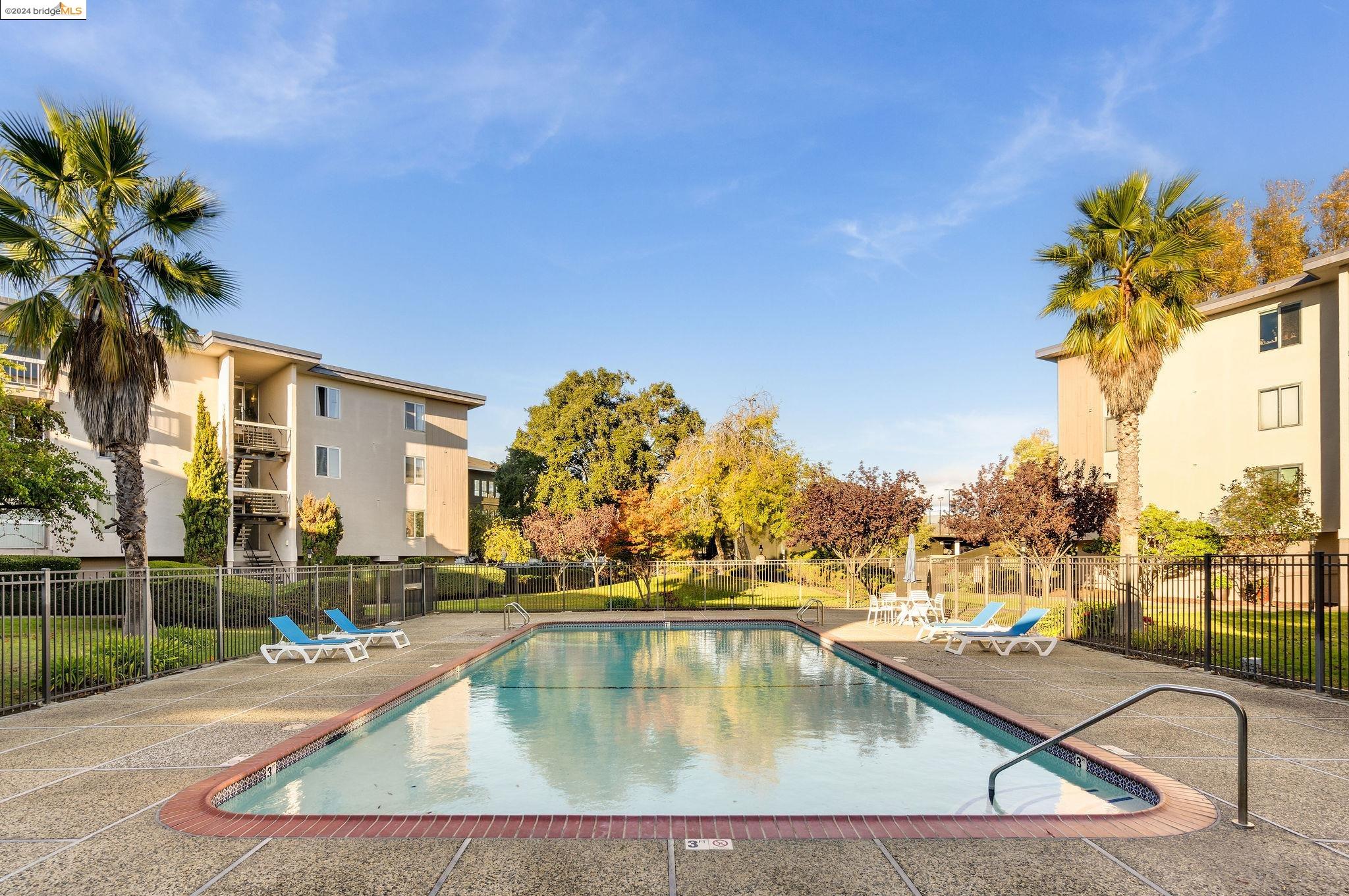 a view of a swimming pool with a lounge chairs