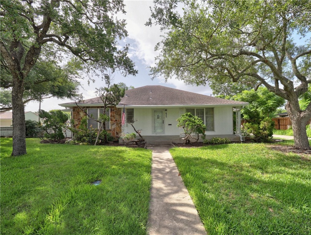 a front view of a house with yard and green space