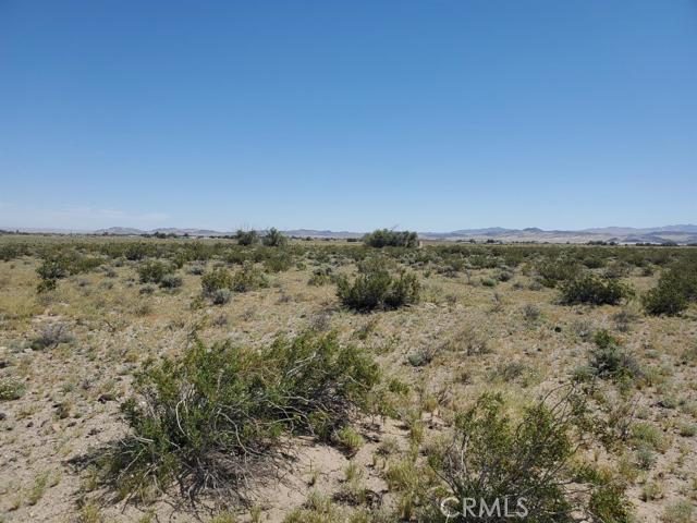 a view of a dry field with trees in background