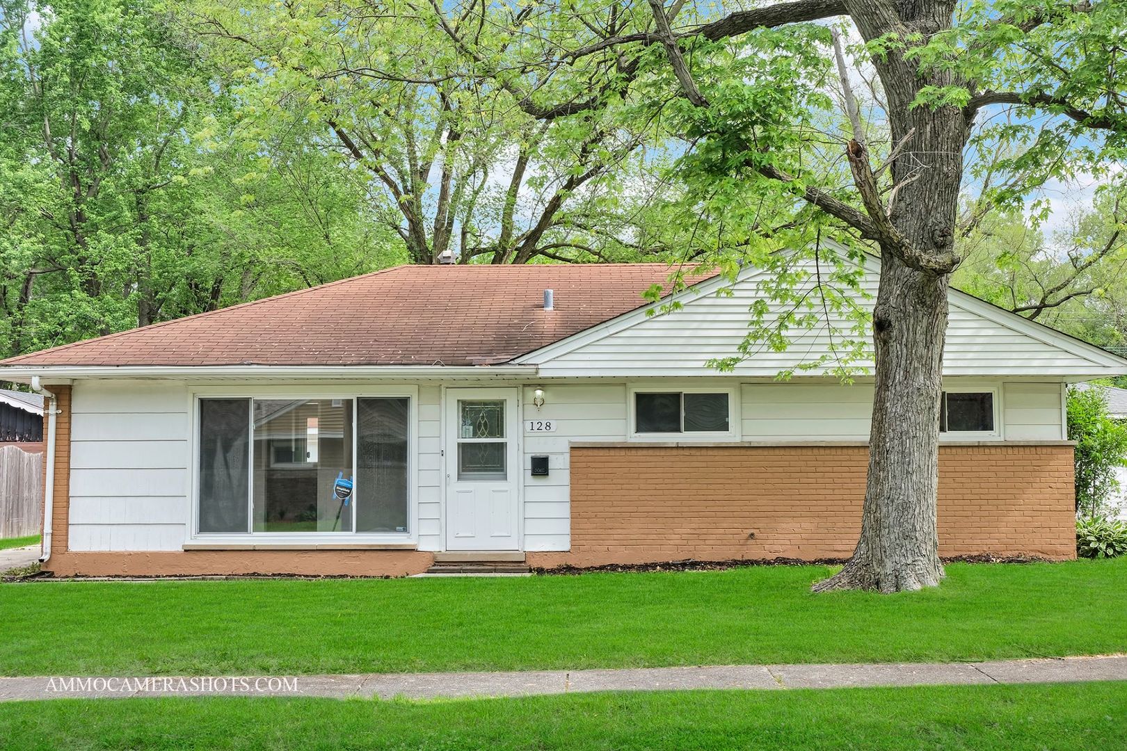 a front view of house with yard and green space