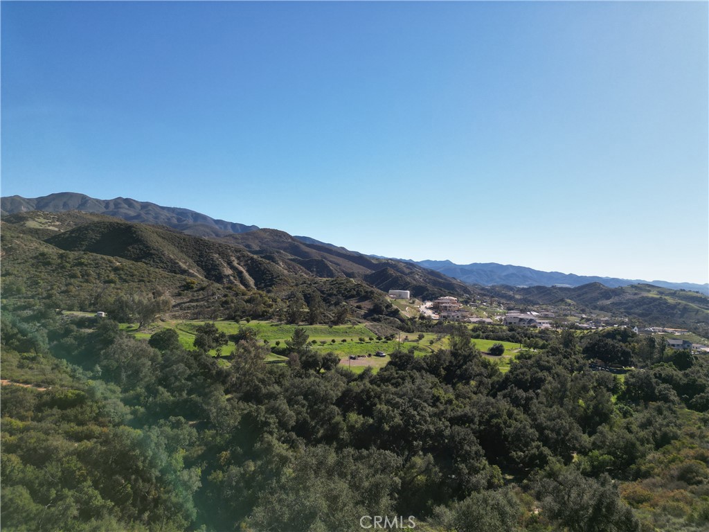 a view of a lush green field with mountains in the background