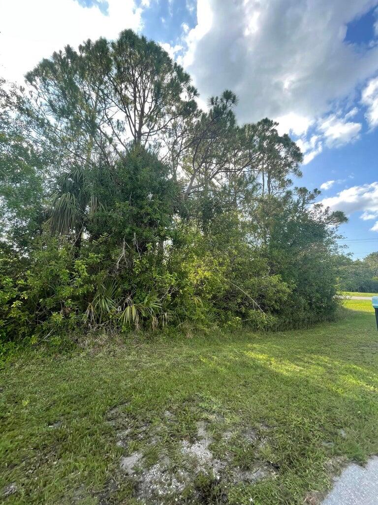 a view of a lush green space