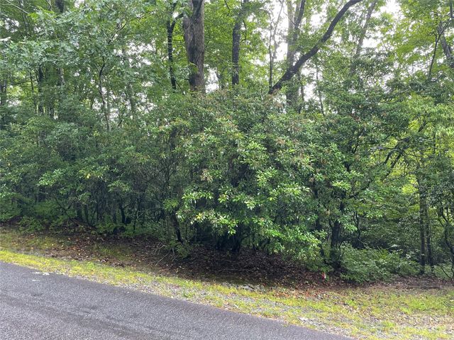 $25,000 | Tbd Tellico Trail, Unit 116/01 | Dunns Rock Township - Transylvania County