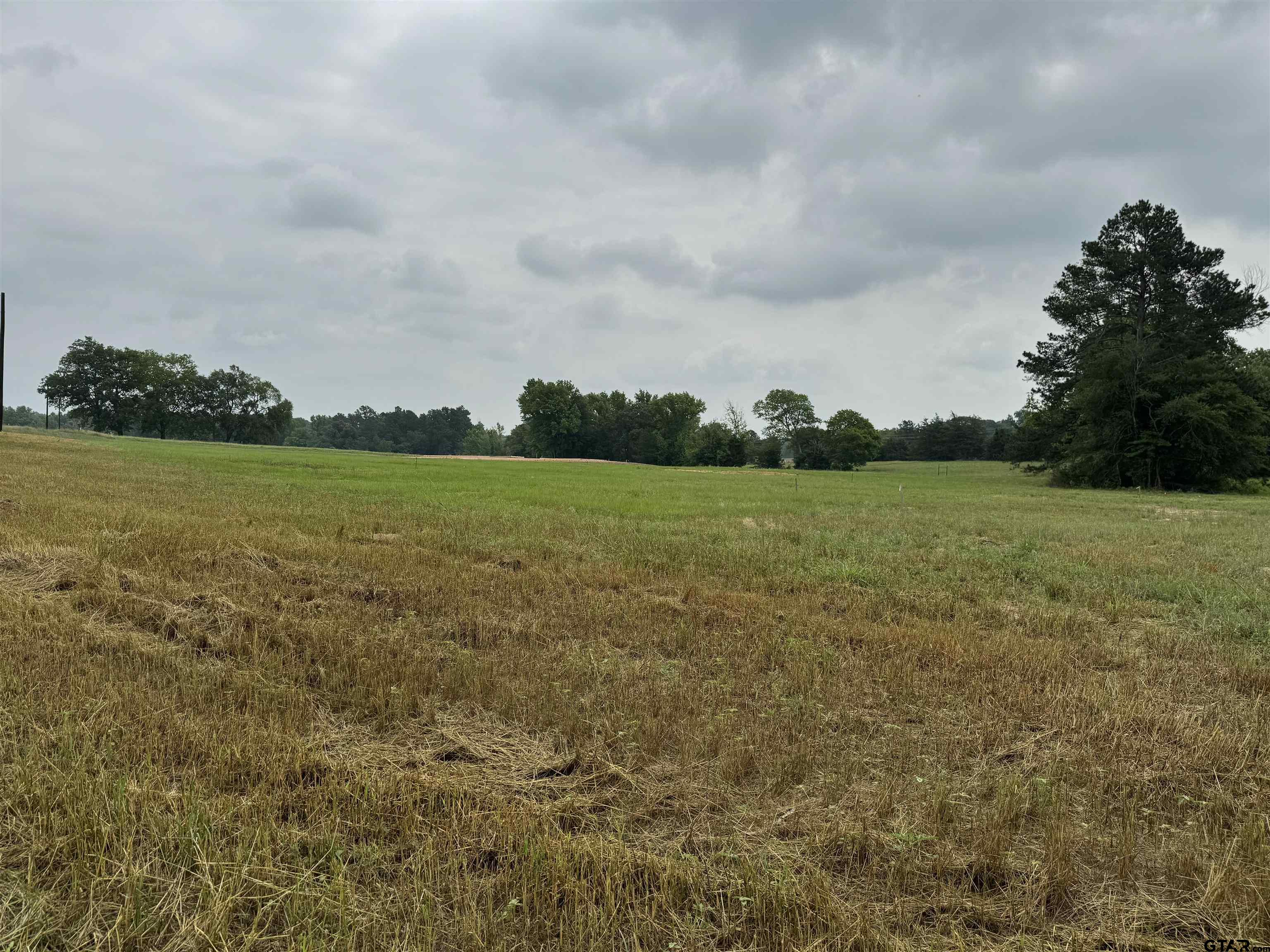 a view of a field with an ocean