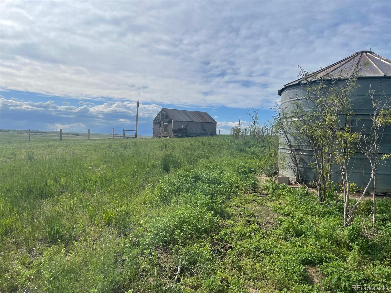 a view of a back yard