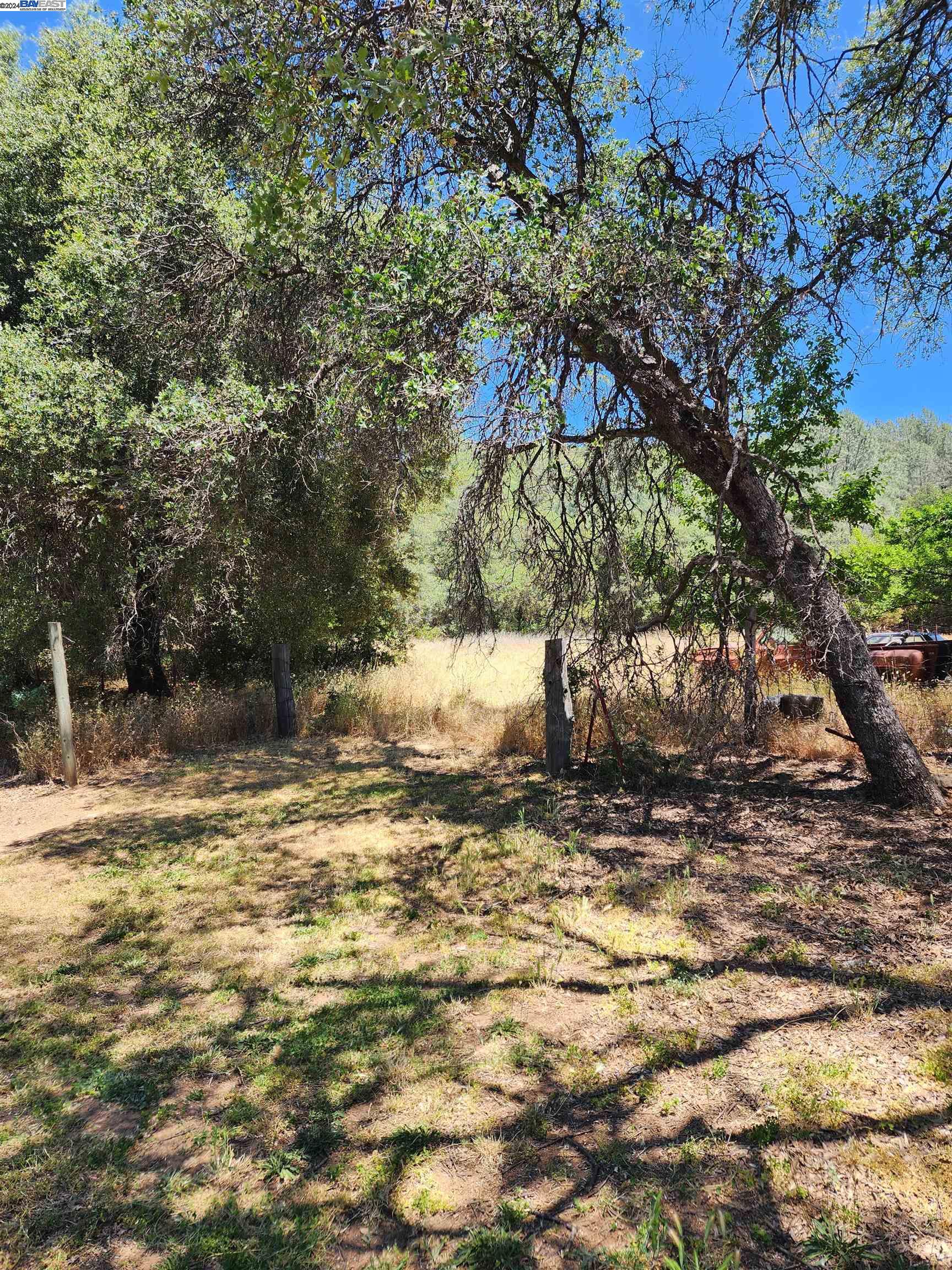 a view of a yard with a tree