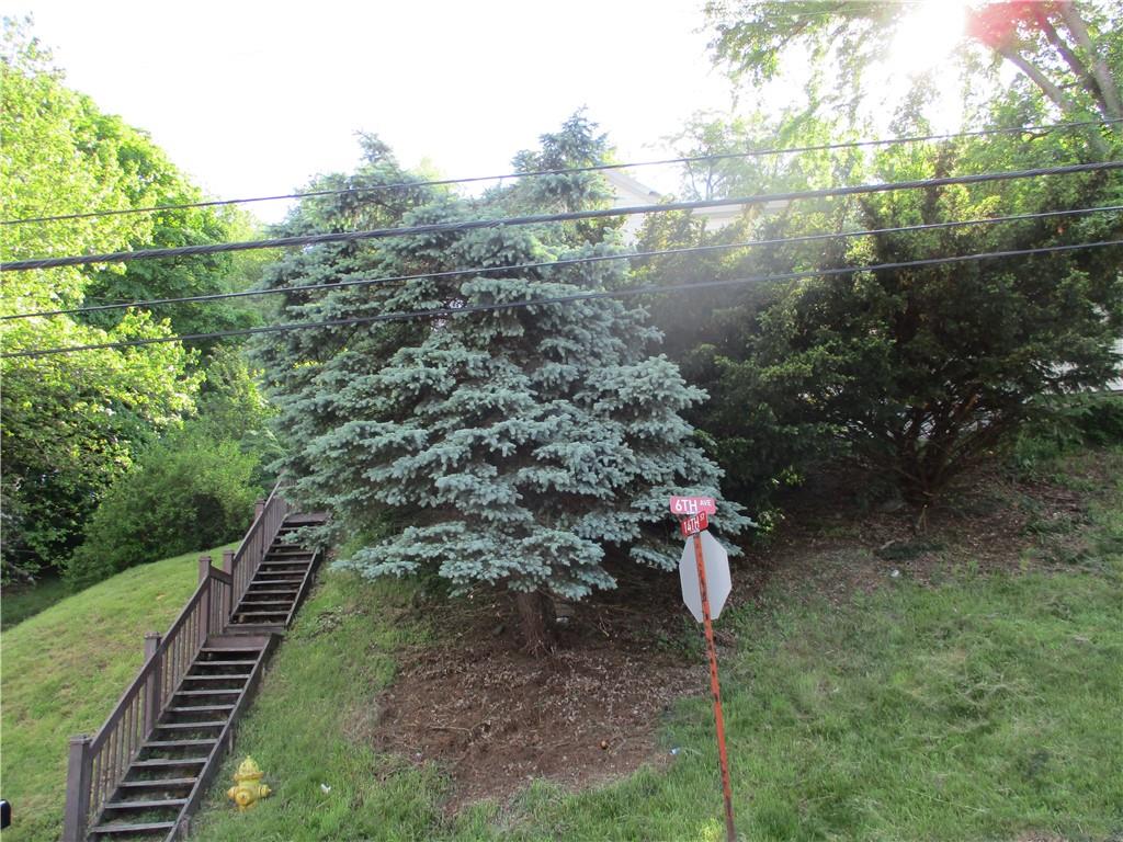 a view of a forest with wooden stairs