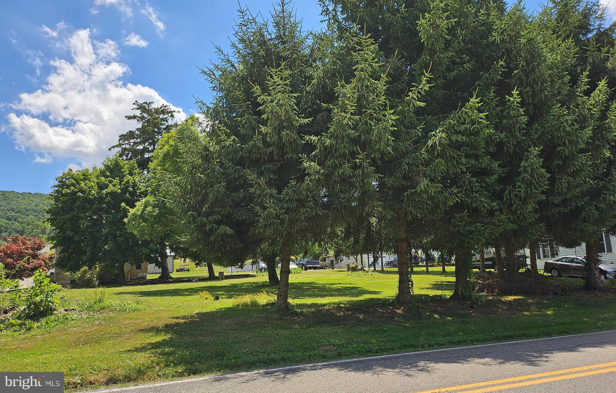 a view of a park with large trees