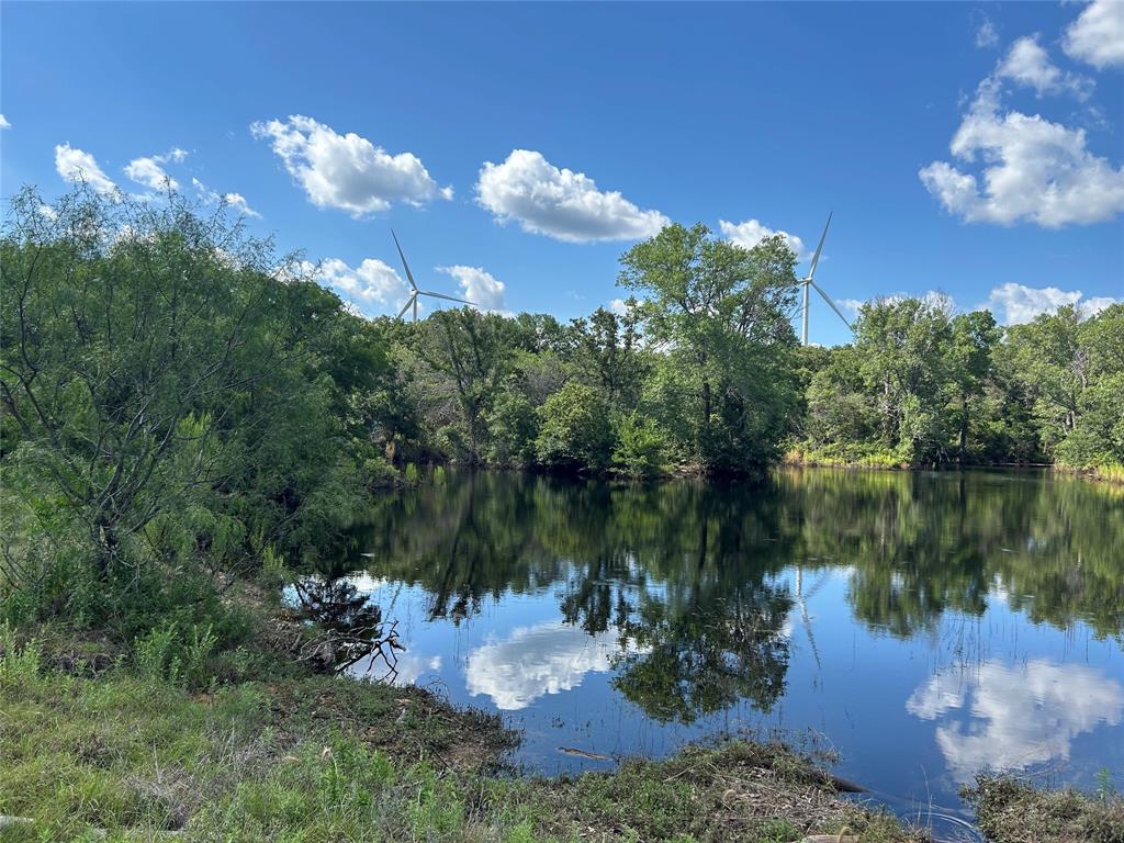 a view of a lake in between two of trees