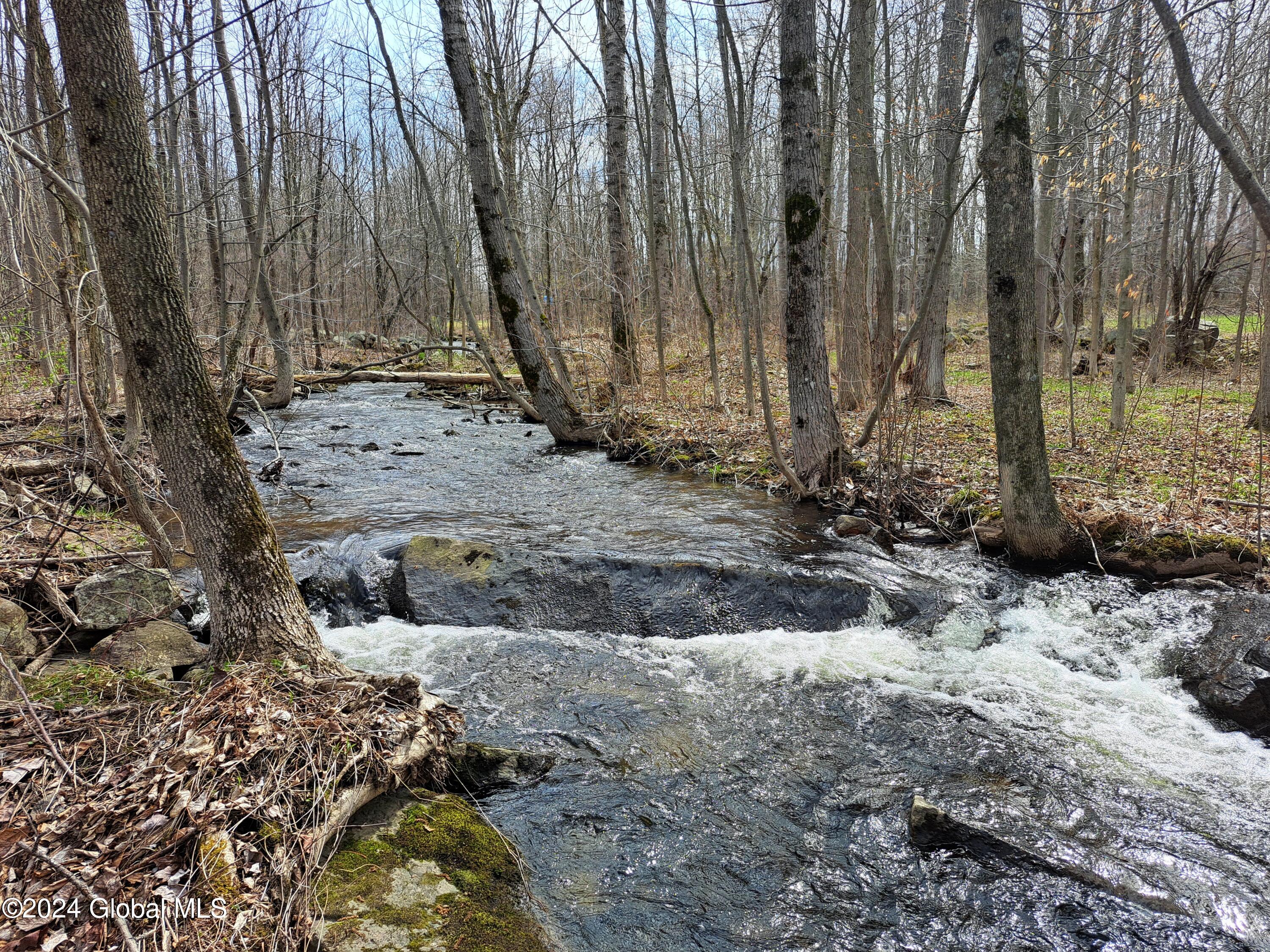 Perennial Creek