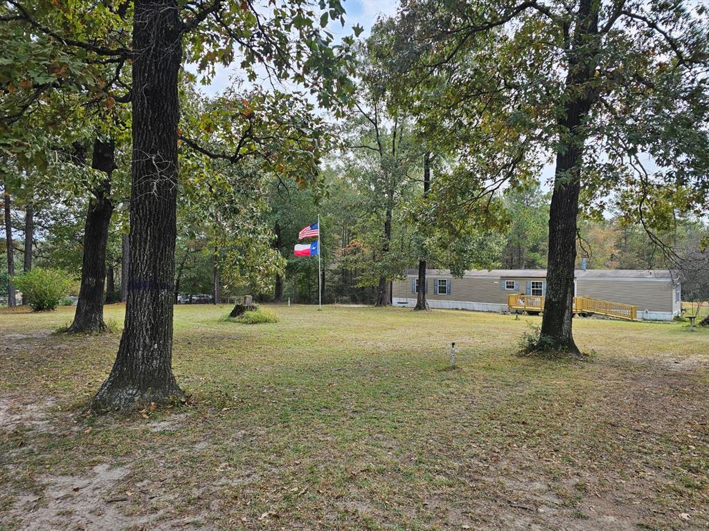 a view of a yard with a tree